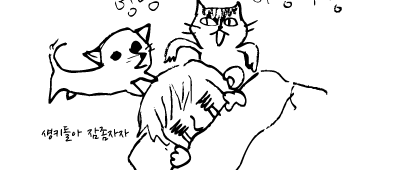 카이승트 12화