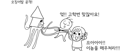 카이승트 15화
